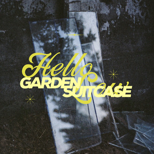 大王酸浆把女生干逼用黄瓜插她的逼
