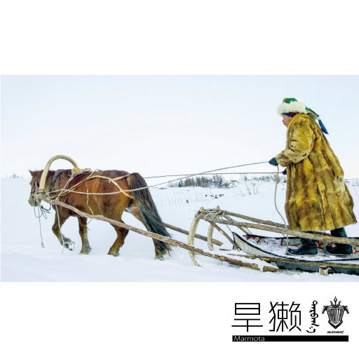 大王酸浆把女生干逼用黄瓜插她的逼
